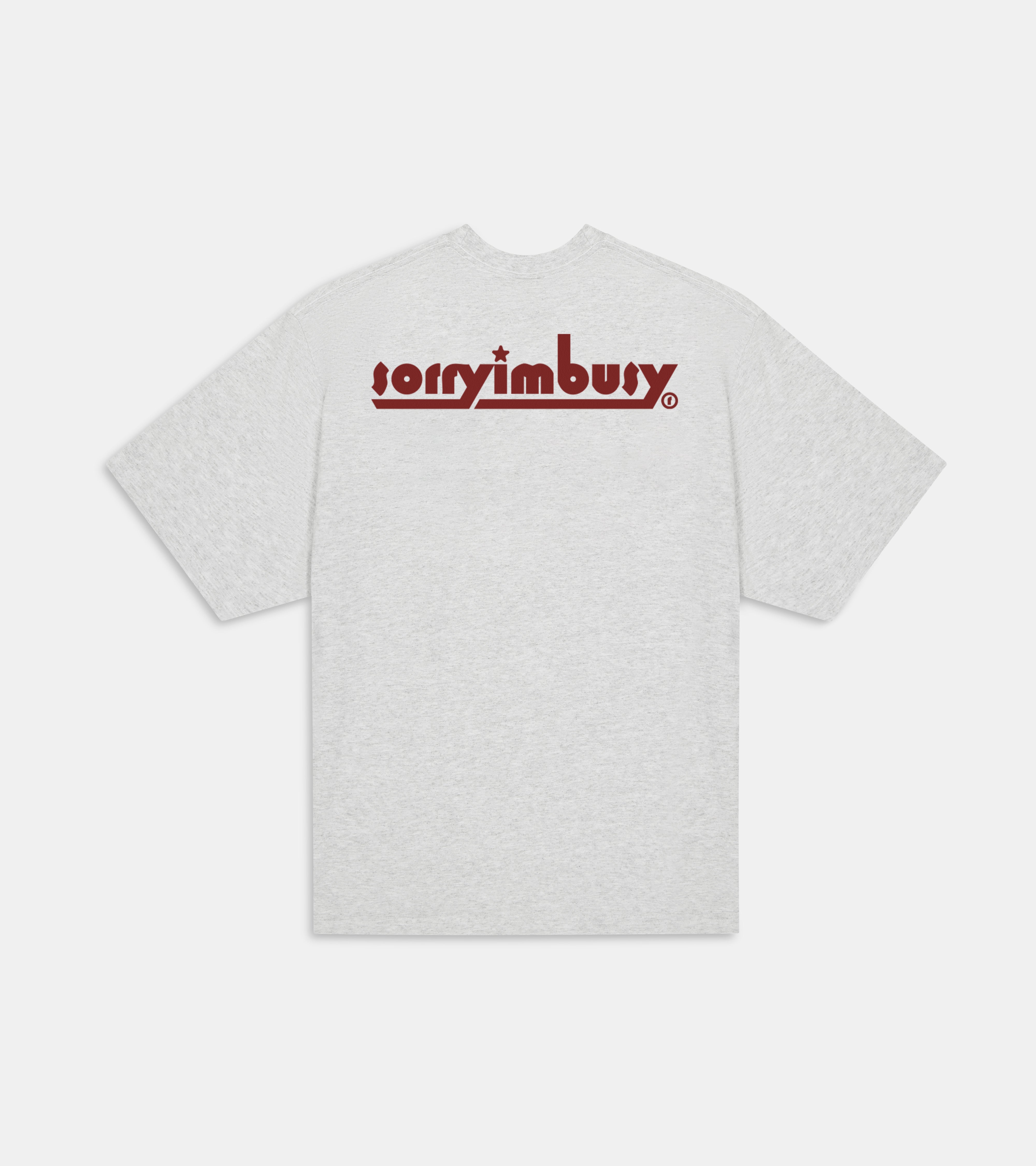 Polaris T-Shirt - Ash Grey