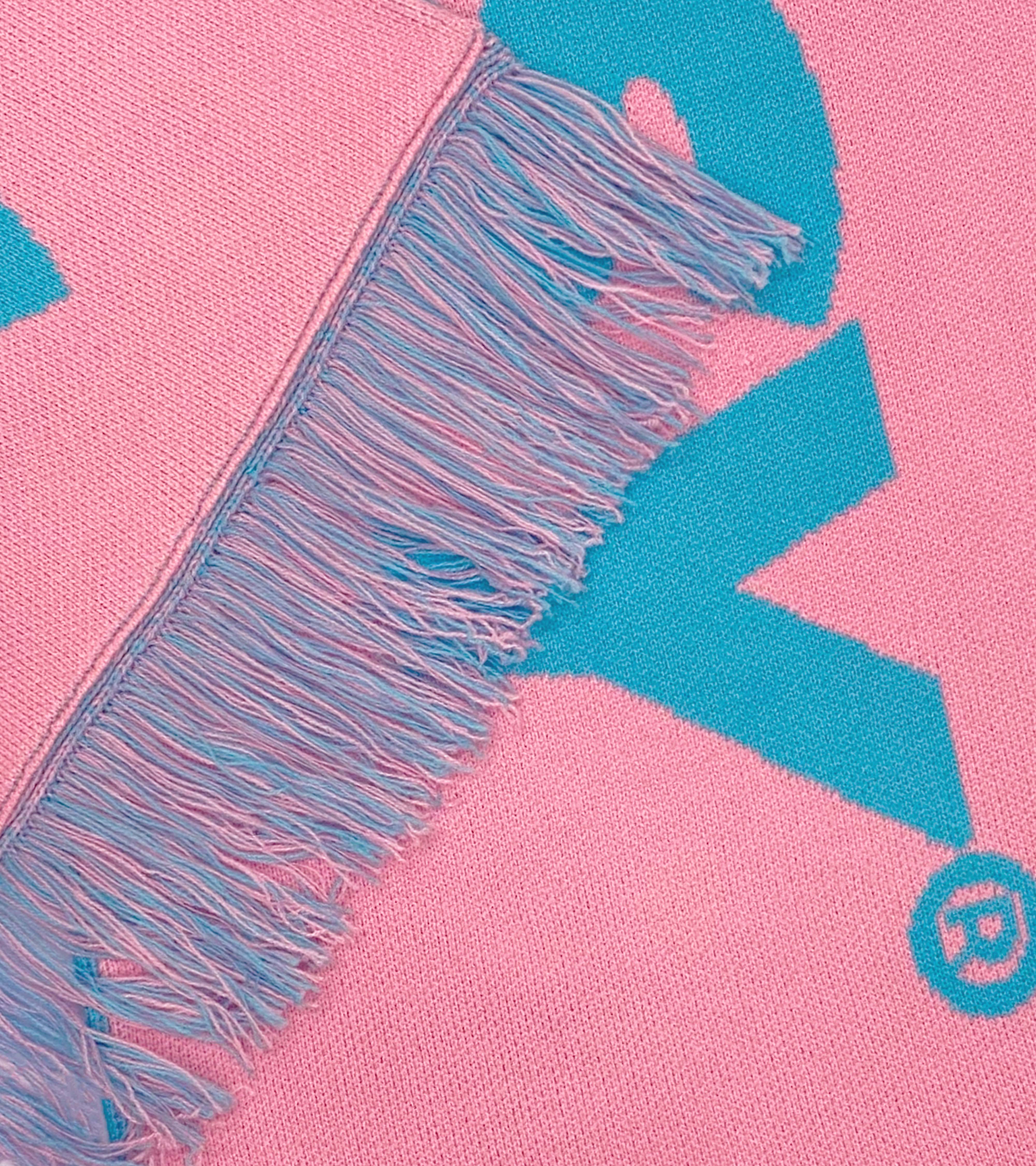 Logotype Scarf - Blue/Pink