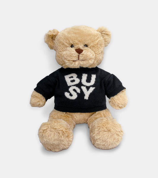 Busy Teddy Bear